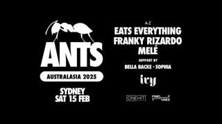 Ants - Sydney