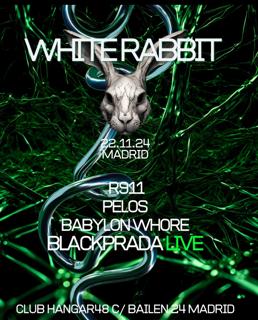 White Rabbit-R911, Pelos, Babylon Whore, Blackprada Live