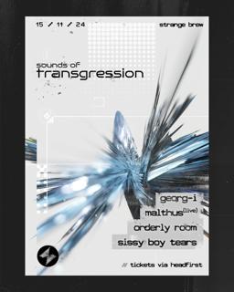 Sounds Of Transgression