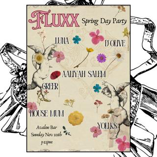 Fluxx: Spring Day Party