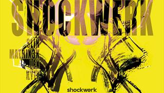 Shockwerk