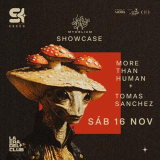 Mycelium Showcase (More Than Human + Thomas Sánchez)