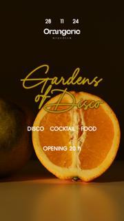 Gardens Of Disco #6 Winter Edition