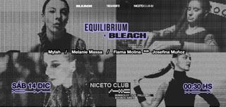 Equilibrium & Bleach