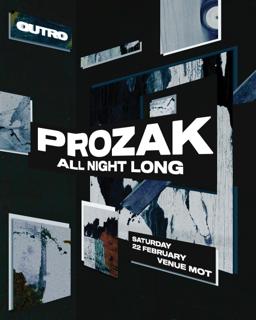 Prozak All Night Long