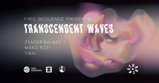 Transcendent Waves