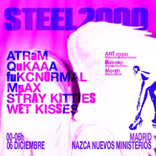 Steel2000