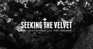 Seeking The Velvet Curated By Cora Novoa