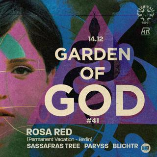 Garden Of God - Rosa Red, Sassafras Tree