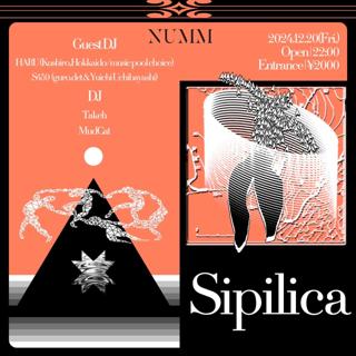 Sipilica