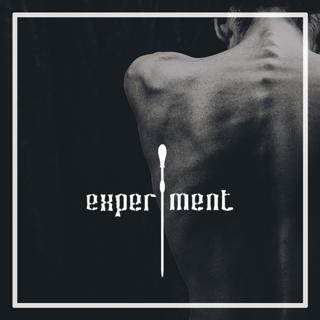 Experiment