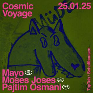 Cosmic Voyage