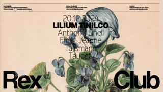 Lilium Tinilco: Anthony Linell, Emily Jeanne, Talismann, Tauceti