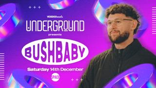 Underground Saturdays Presents Bushbaby