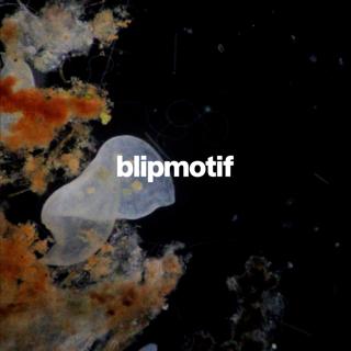 Blipmotif