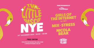 The Little Disco Presents: Girls Of The Internet (Dj)