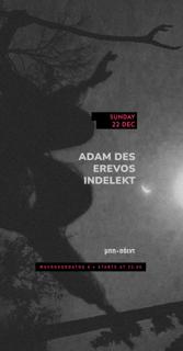 Adam Des / Erevos / Indelekt