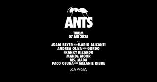 Ants Tulum