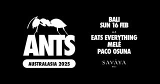 Ants - Bali