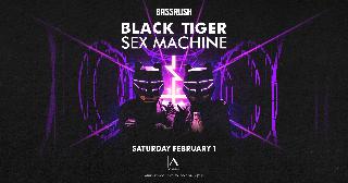 Black Tiger Sex Machine