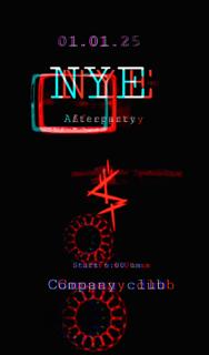 Synthetica • Nye Afterparty At Company