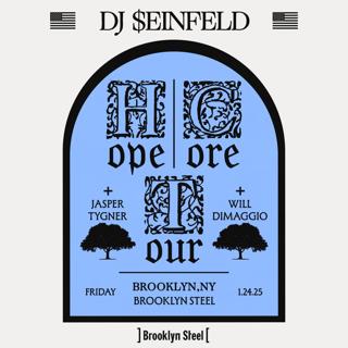 Dj Seinfeld