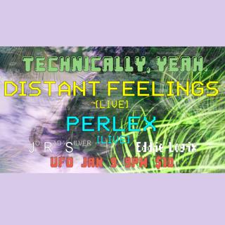 Technically, Yeah. Perlex / Distant Feelings // Eddie Logix / Jo Rad Silver