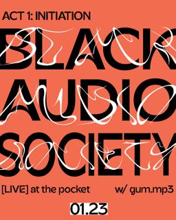 Black Audio Society [Live]