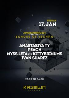 Apartamento 134 Pres: Echoes Of Techno