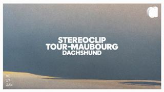 Stereoclip · Tour-Maubourg · Dachshund