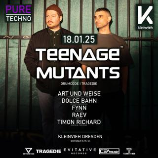 Pure Techno With Teenage Mutants