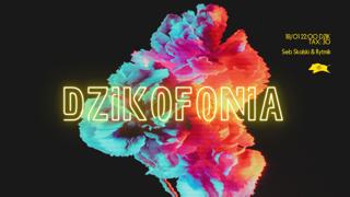 Dzikofonia ⚛︎ Seb Skalski & Rytmik