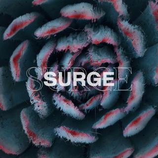 Surge