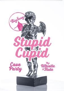 Bigsexy'S Stupid Cupid Cave Party