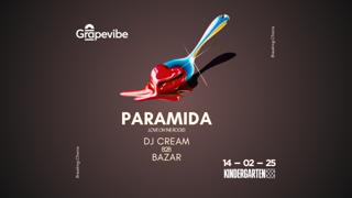 Grapevibe Pres. Paramida (Love On The Rocks)