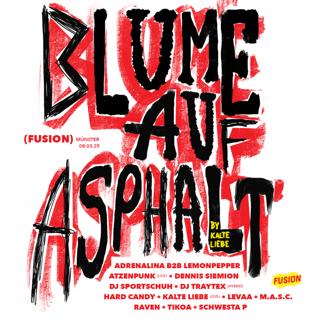 Blume Auf Asphalt With Kalte Liebe Live