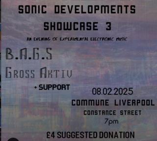 Sonic Developments: Showcase 3