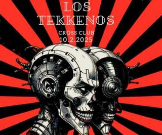 Los Tekkenos - Vinil Only