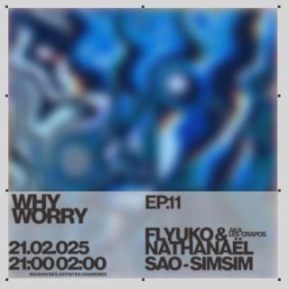 Why Worry Ep011