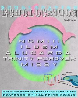 Echolocation Ii: A Dolphin Party