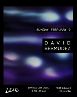 David Bermudez / Sparkle City Disco