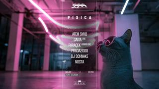 Pisica: Prada2000, Afem Syko, Paraçek, Caiva & Dj Schnake