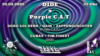 Dide X Purple C.A.T