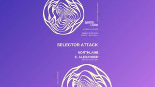 Selector Attack #3