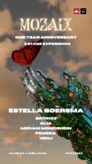 Mozaix 1 Year Anniversary With Estella Boersma