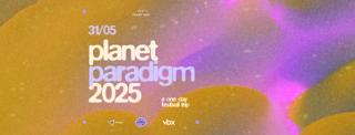 Planet Paradigm 2025: A One Day Festival Trip