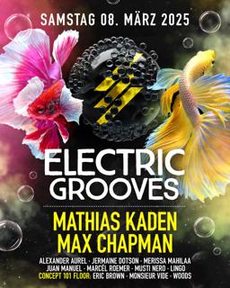 Electric Grooves With Mathias Kaden & Max Chapman