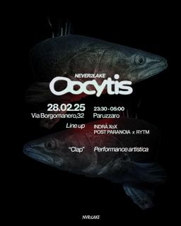 Oocytis