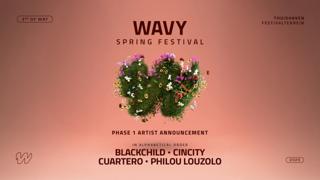 Wavy Spring Festival