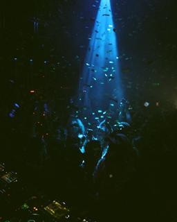 The Cause: Nye Xxxlarge Day & Night Festival